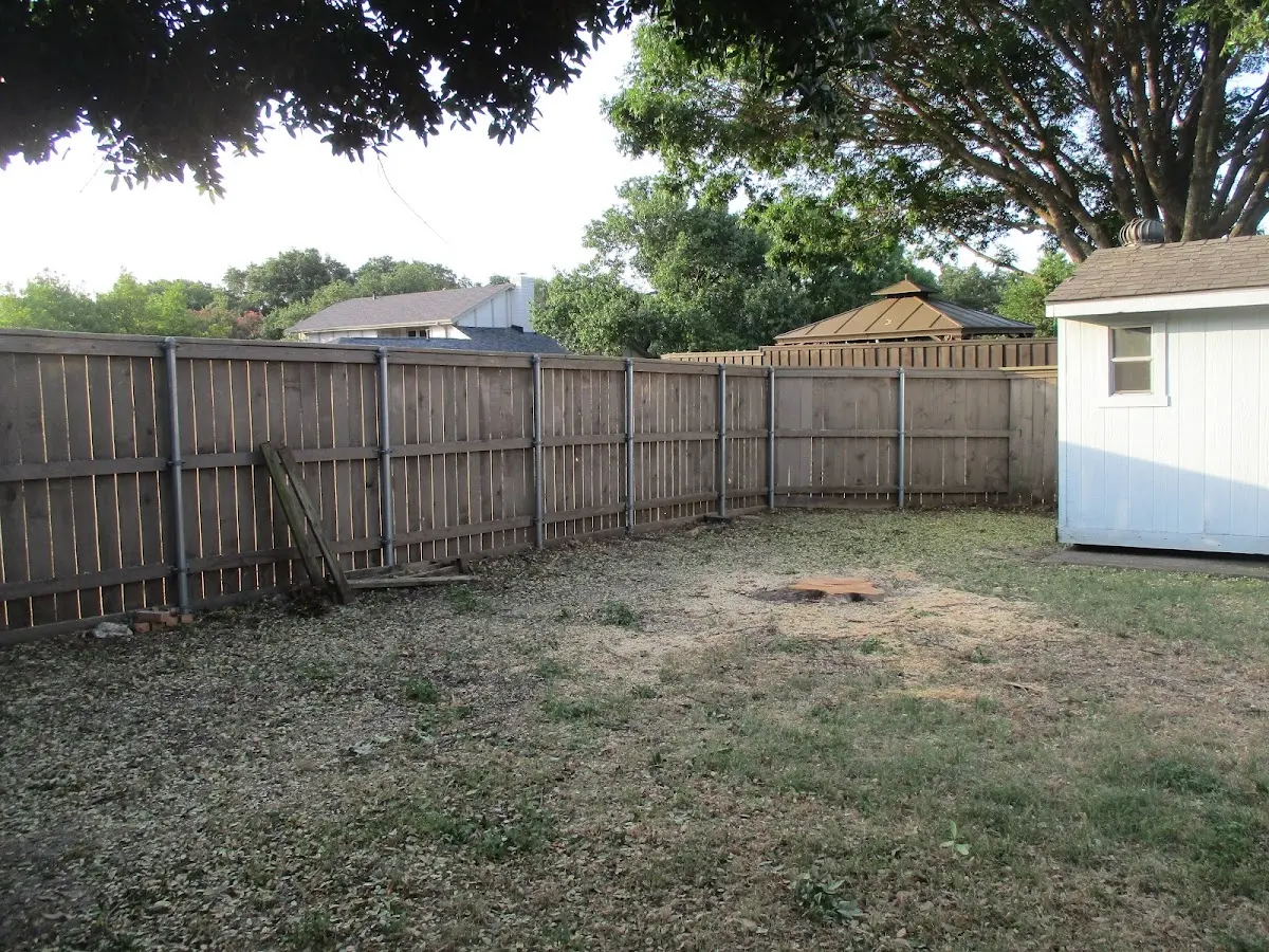Cleared yard after professional tree removal in Irvine