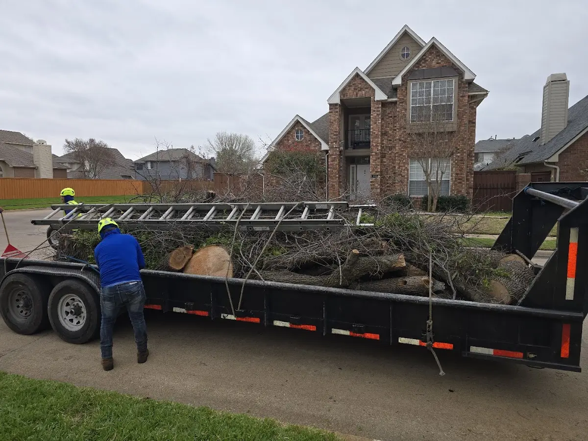 Expert Tree Pest Control with proper safety equipment in Irvine